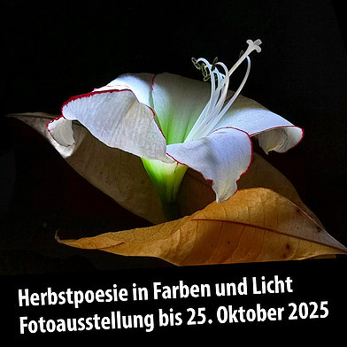 Herbstpoesie